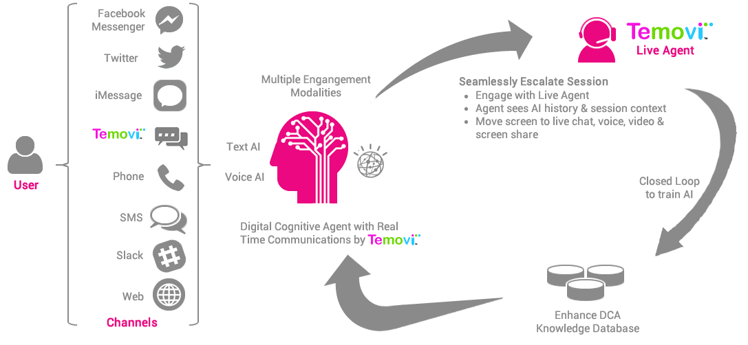 Digital Cognitive Agent Schematic